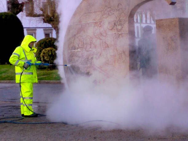 Best Pressure Washing Services Near Me  in Butler, MO